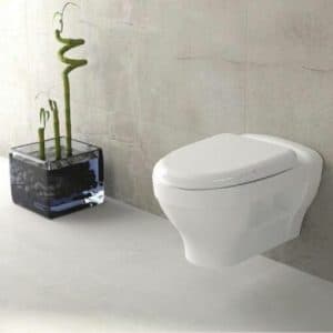 توالت وال هنگ گلسار مدل کلین